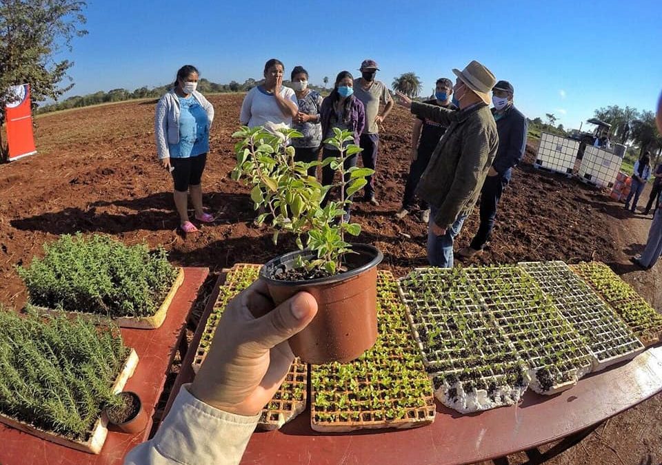 Huerta Comunitaria