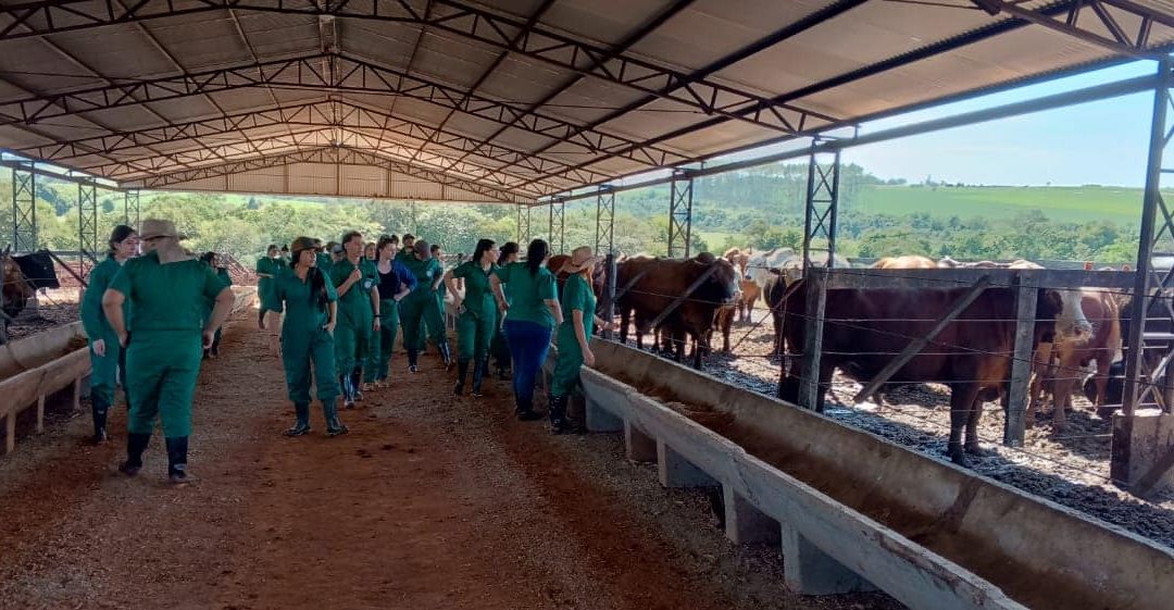 Visita técnica a Agroganadera