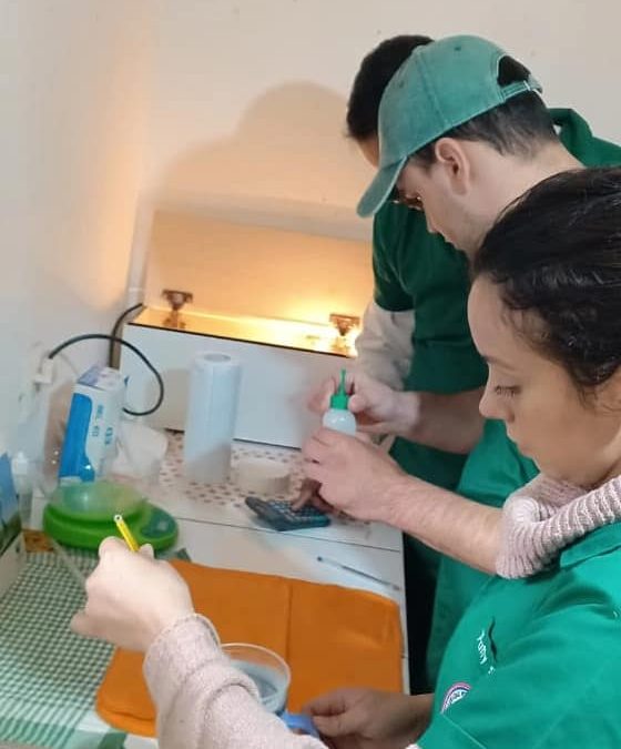 Visita a una granja porcina «Facenda Dezen»