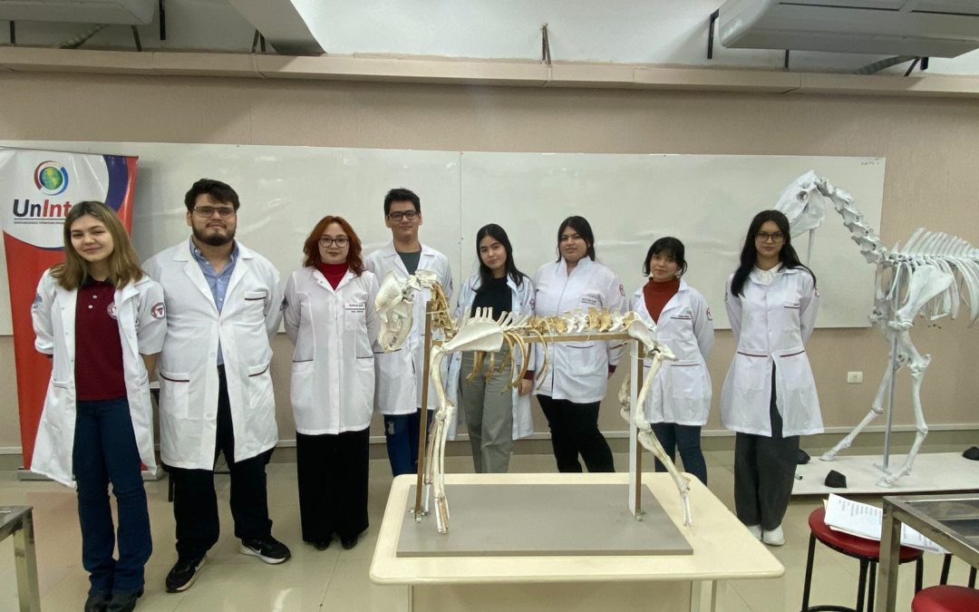 ¡Presentación de Proyectos en Anatomía I!
