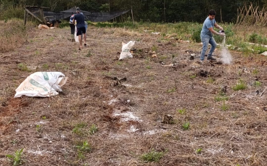 Práctica de Aplicación de Calcáreo en Campo Experimental de la UNINTER